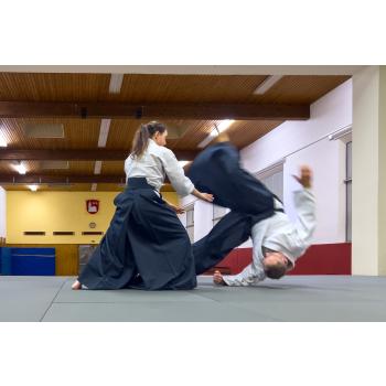 Beitragsbild Aikido-Einstiegskurs im September